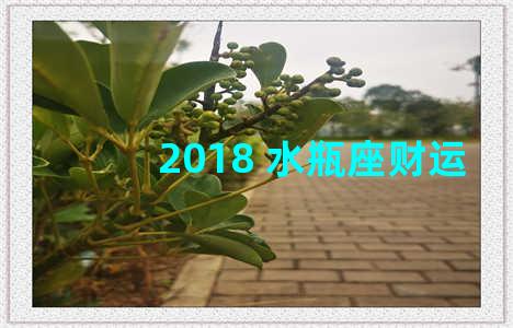 2018 水瓶座财运